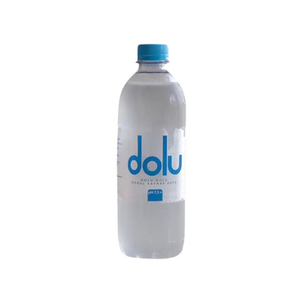 Dolu Wasser 0,5L (EINWEG)