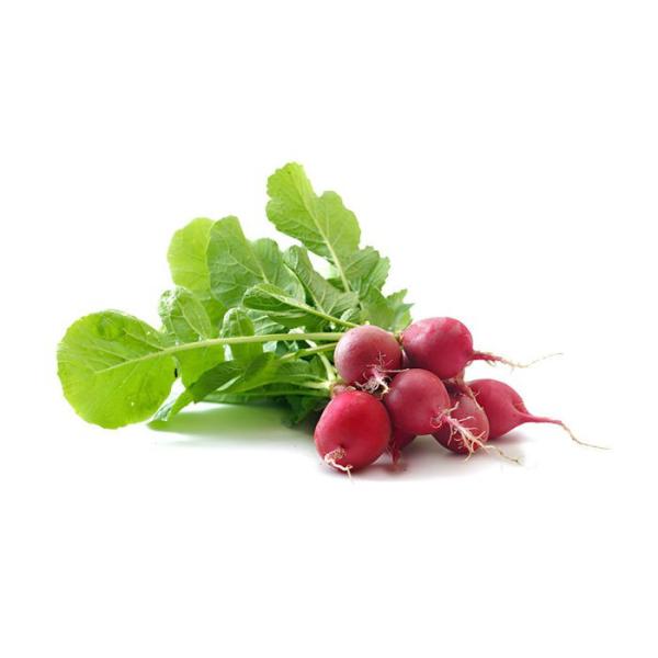 Radieschen 1 Bund